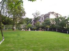 照母山 约克郡 联排中户 业主诚心出售 随时看房