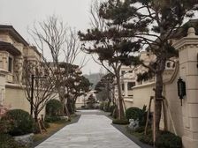 双拼大端户,单层150,3+1地下室全采光