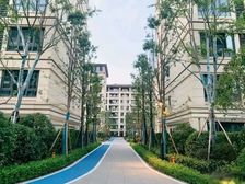 悦来双轻轨 现房洋房 优质书包 轻轨 商圈 生活配套成熟 送