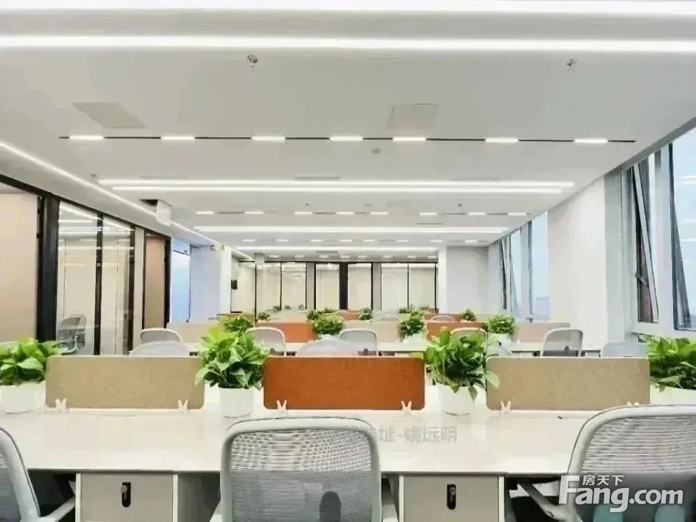 内景图