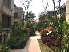 照母山合院 别墅单层面大 带地下室跟车位 急售