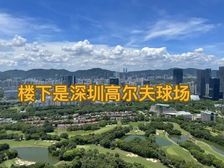 福田CBD【看高尔夫,海景观】360平一手大平层住宅绝美景观