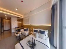 次新房 环境优美 高楼层采光充足 精装修 商业配套齐全