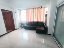 珠岛花园 精装好房 满五 商业配套齐全 商品住宅 小区绿化高