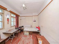 开窗绿树成荫 可免费提供装修方案 特别材质的小洋楼 全明三房