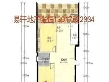 金沙嘉年华+精装修全送+南北通透+诚意出售价格可谈+出门地铁