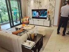 万科松湖半岛 看一线松湖美景 松山湖华为欧洲小镇旁