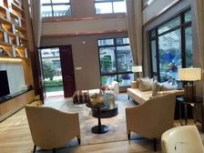 虎门碧桂园别墅 户型大气实用 采光超好 业主诚售!