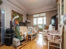 大木桥板块,明星小区,三开间朝南,电梯房,中高楼层,满五年