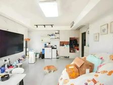 新上!电梯高层,南北通透,精装修,近地铁房