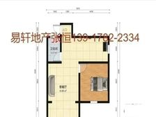 曹二房龄新+出门地铁+精装修全送户型正气+无税+价格可谈