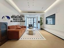 100萬豪装,可薅羊毛(业主痛下决心478急于求成)总监力荐