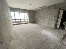 南岸 沿湖 唐程御品 一梯一户 146平