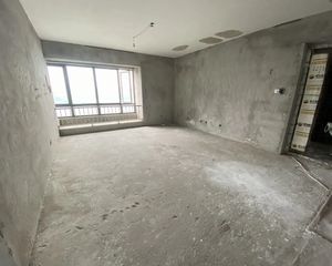 南岸 沿湖 唐程御品 一梯一户 146平