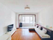 小高层一体两户、三叶草户型、随时看房