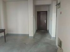 洞泾 有电梯 近地铁 南北通透 高楼层视野好 交通便捷