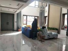 带大入户花园 龙奥大厦南临 类独栋双拼别墅 带露台