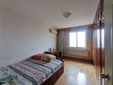 新出 山师二宿舍 双卫 三室大户型 南向