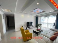 百万豪华装修+低市价挥泪急售+不靠马路+看中价格可以谈带车位