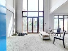 观湖园临湖双拼别墅 上下5层 中空挑高6.8米 实用700平