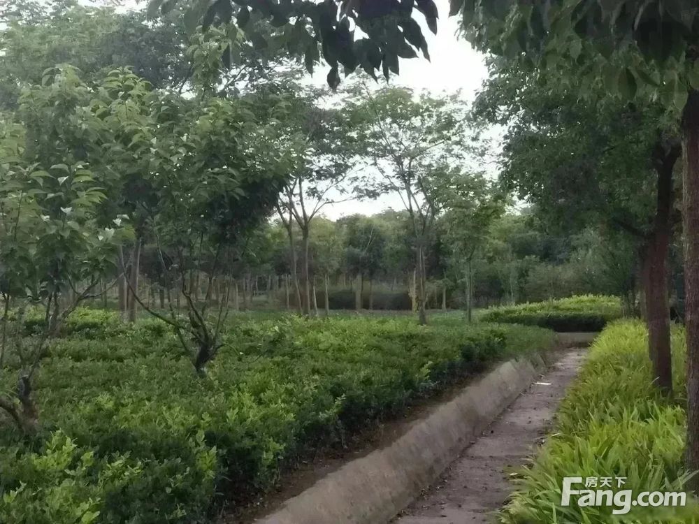 小区相关图