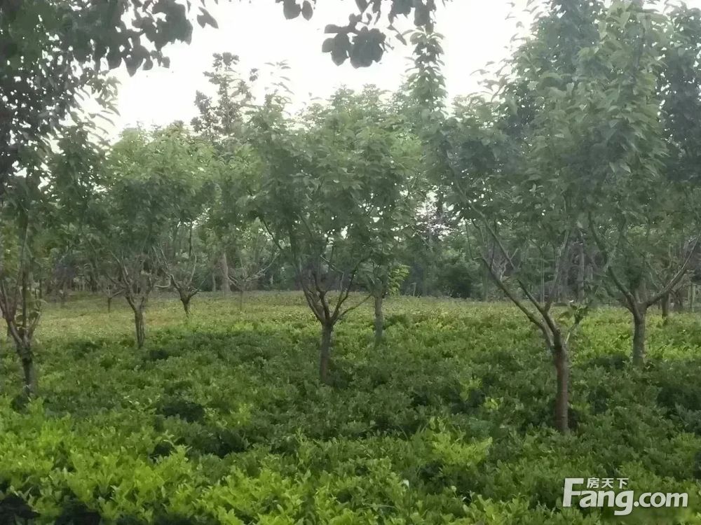 小区相关图