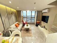 白云站TOD精装两房 人流聚集 企业总部汇聚 旺租6000