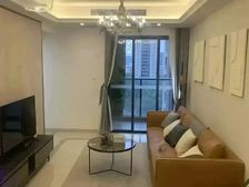 合和新城 9号线清塘站地铁口 全新精装房 拎包入住 性价比高