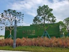 保利珑玥公馆 精装现楼 不 白云区钟落潭站200米 急售