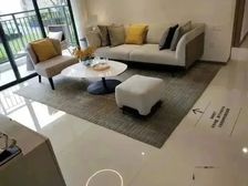 松山湖交界处 高层看松湖美景 碧桂园天钻2期 装修更精致