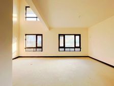 世茂铜雀台雅院 4室2厅4卫 毛坯 2500万元