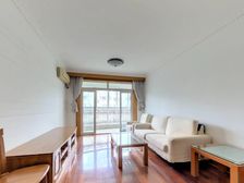 文华苑四期 南北通透 户型正气 采光刺眼 位置优越