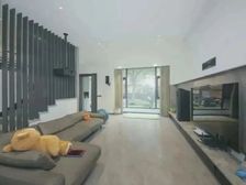 纯别墅小区,超低密度,南入户,房屋全新装修拎包入住