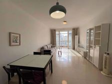 徐家汇核心地段!总监力推!房东出国急售!签证已办!南北通透!