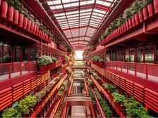 9号13号丨恒基旭辉天地丨医美+全科丨中海国际中心丨博荟广场