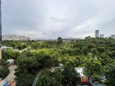 春融锦苑 186平中式豪装 带地暖186平洋房天花板首次调价