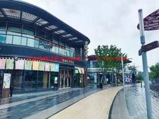 超低总价可按揭 | 五龙山畔双拼墅区,科技城改善新选择