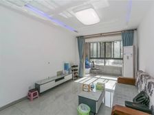 3室2厅 电梯房 精装修 满五 楼层好 视野无遮挡