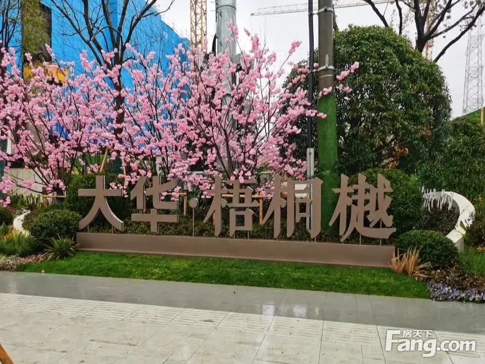 室内图