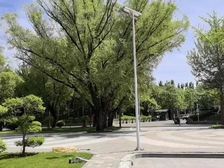 独栋,独栋,小独栋(奥林匹克公园内300至500平)办公选择