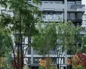 地铁4号线枣园,京玺,央企开发精装洋房,户户有阳台,高