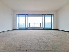 南滨路看湖大平层 急售采光通透