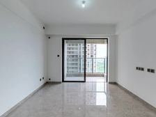 招商禹洲云鼎府全新精装没住过-地铁口-看得能湖公园