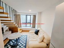 30万抢驻市中心!星汇天地LOFT|买一层送一层,功能随心定