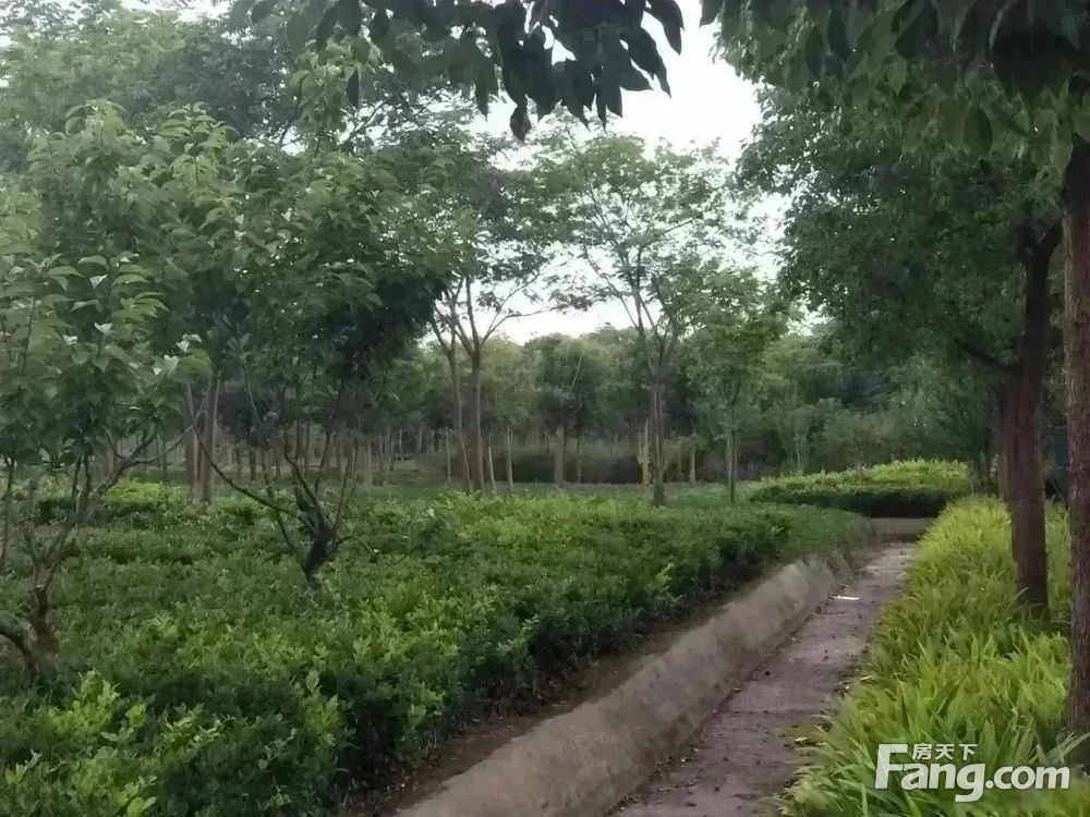 小区相关图