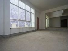 独栋 ,毛坯,8米挑空客厅,私家花园较大,南北朝向