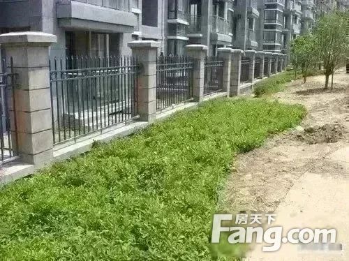 小区相关图