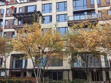 礼嘉天街旁 单层120平 带130平私家大露台