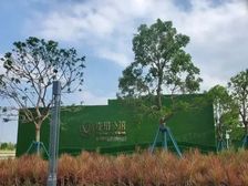 保利珑玥公馆 精装现楼 不 白云区钟落潭站200米 急售