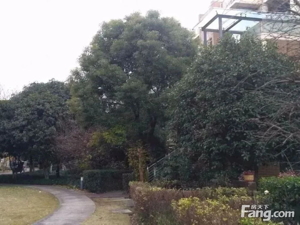 小区相关图